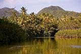 DOMINICA - Indian river